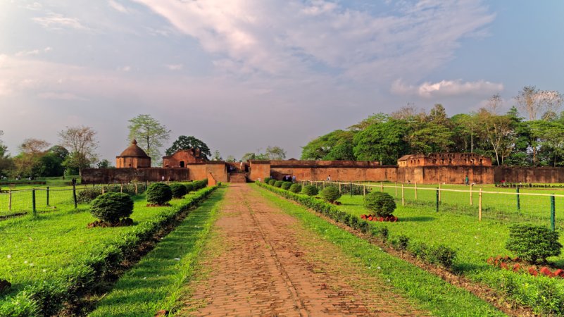 grasshopper yatra Image