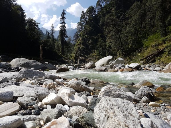 grasshopper yatra Image