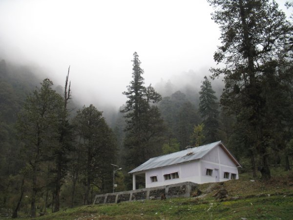 grasshopper yatra Image