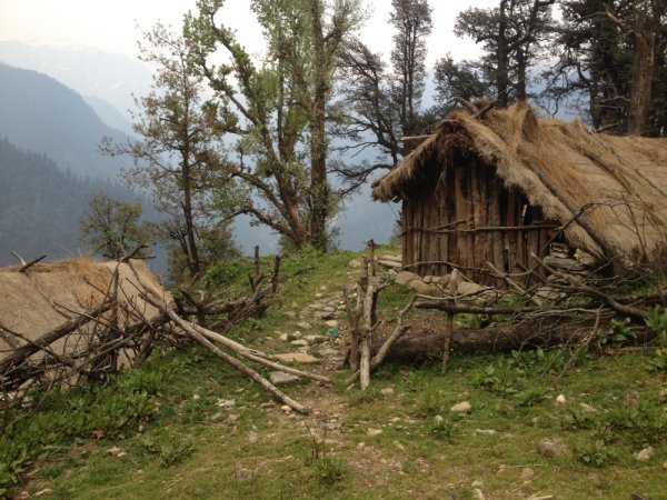 grasshopper yatra Image