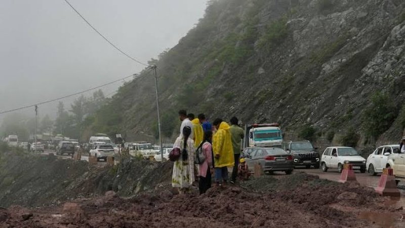 grasshopper yatra Image