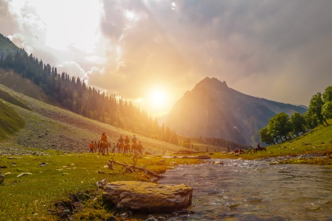 grasshopper yatra Image