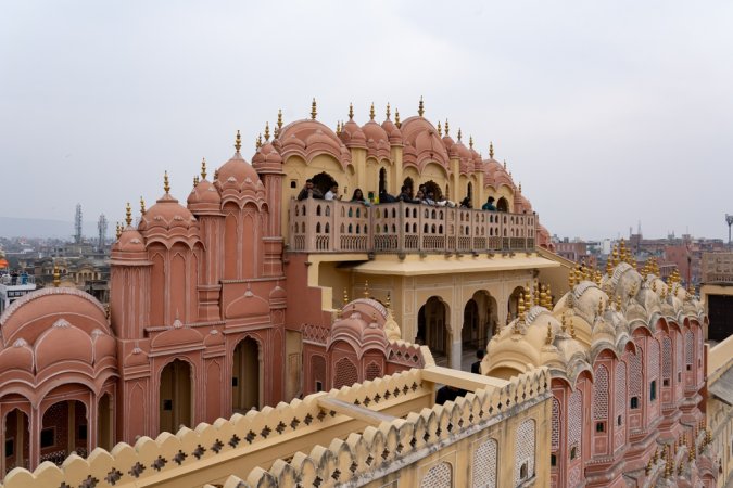 grasshopper yatra Image