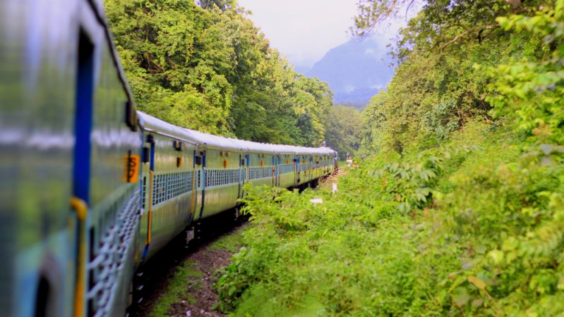 grasshopper yatra Image