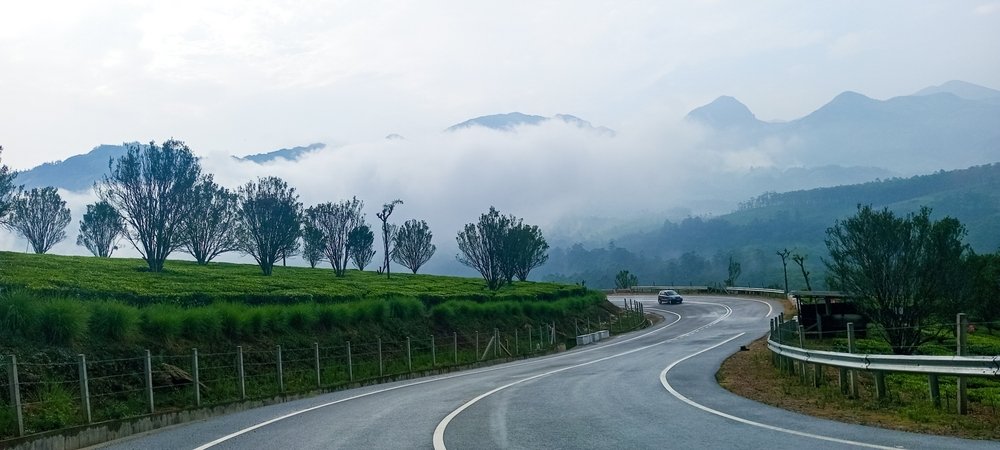 grasshopper yatra Image