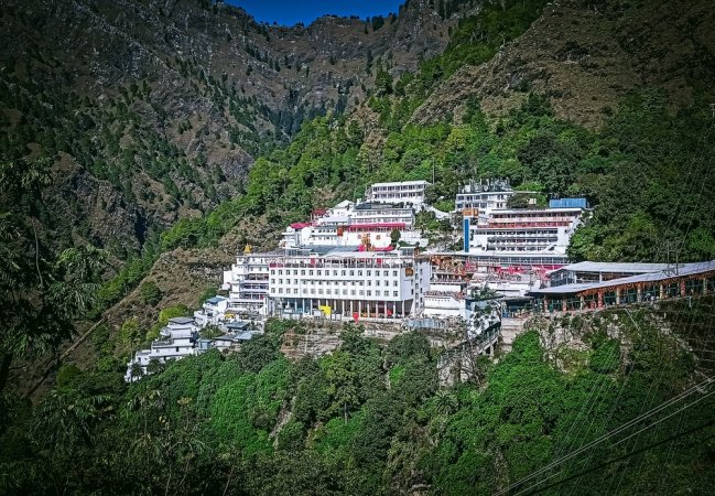 grasshopper yatra Image