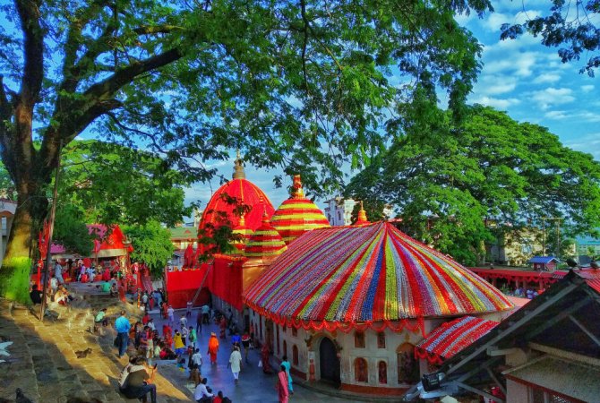 grasshopper yatra Image