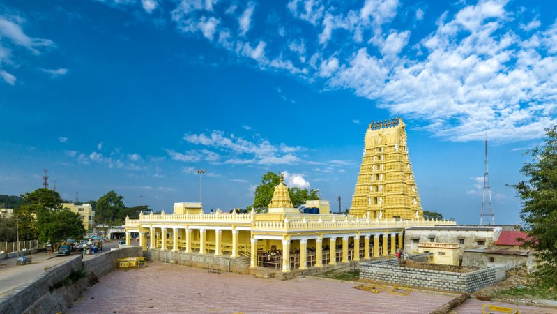 grasshopper yatra Image
