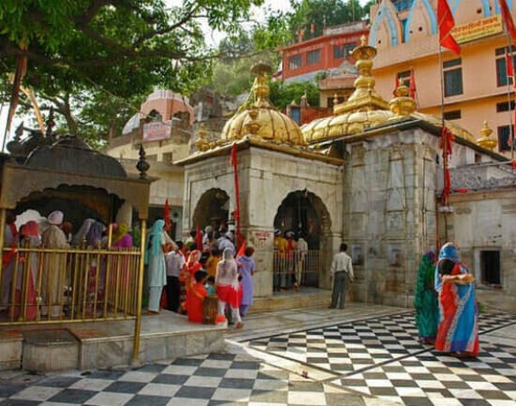 grasshopper yatra Image