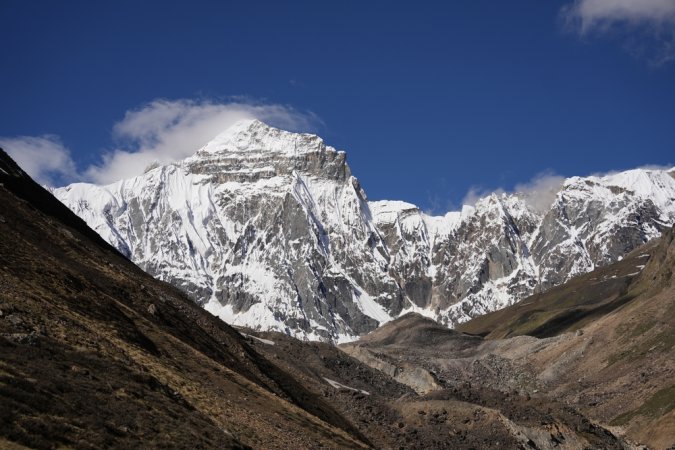 grasshopper yatra Image
