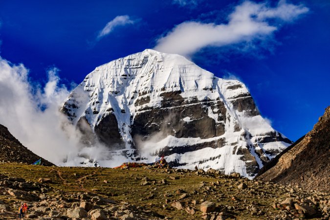 grasshopper yatra Image