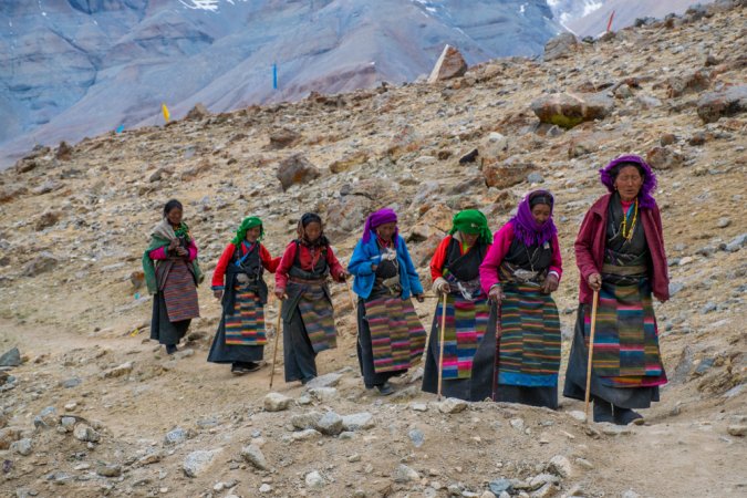 grasshopper yatra Image