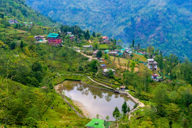 grasshopper yatra Image