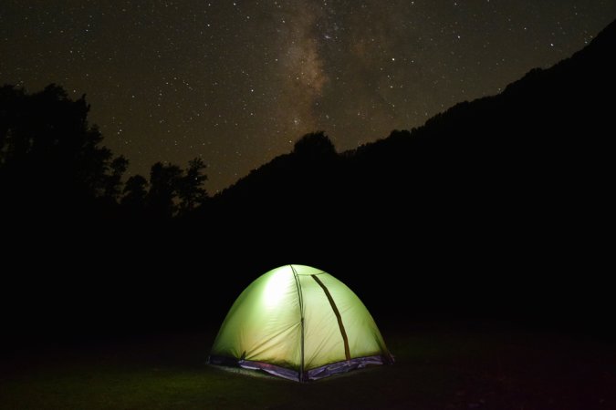 grasshopper yatra Image