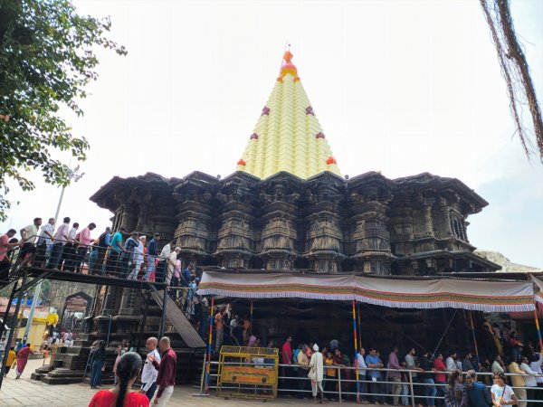 grasshopper yatra Image