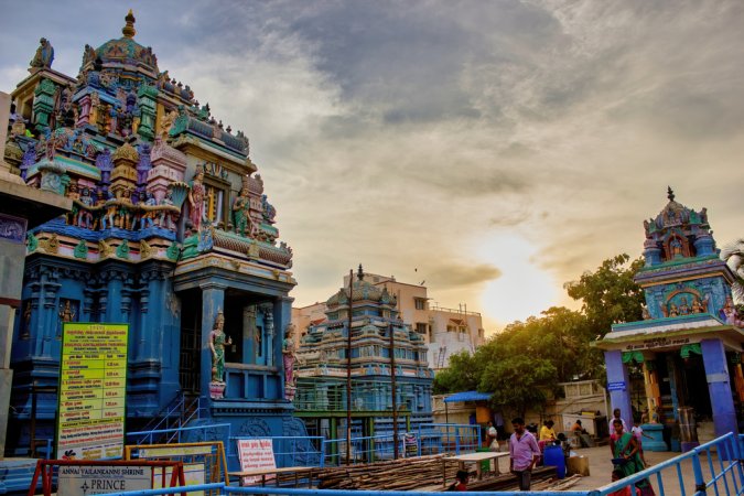 grasshopper yatra Image