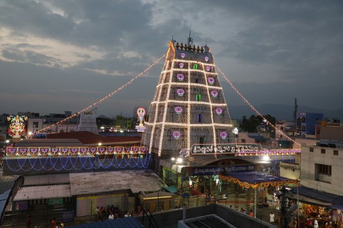 grasshopper yatra Image