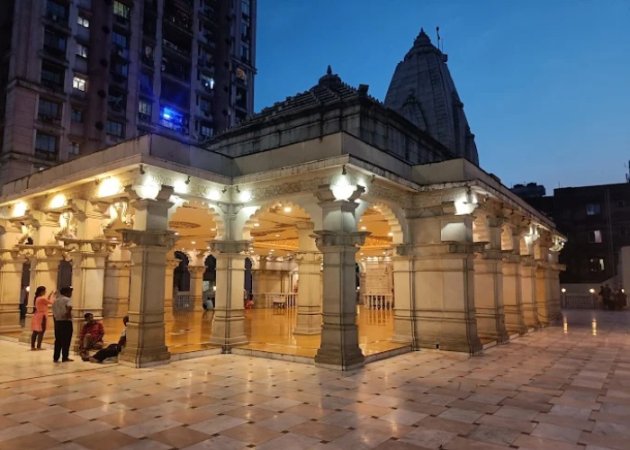grasshopper yatra Image