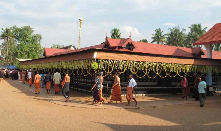 grasshopper yatra Image