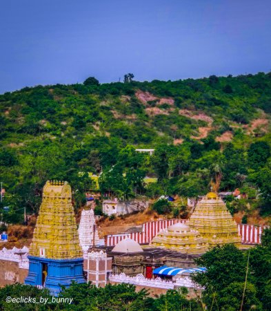 grasshopper yatra Image