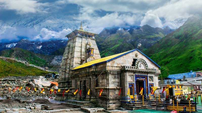 grasshopper yatra Image