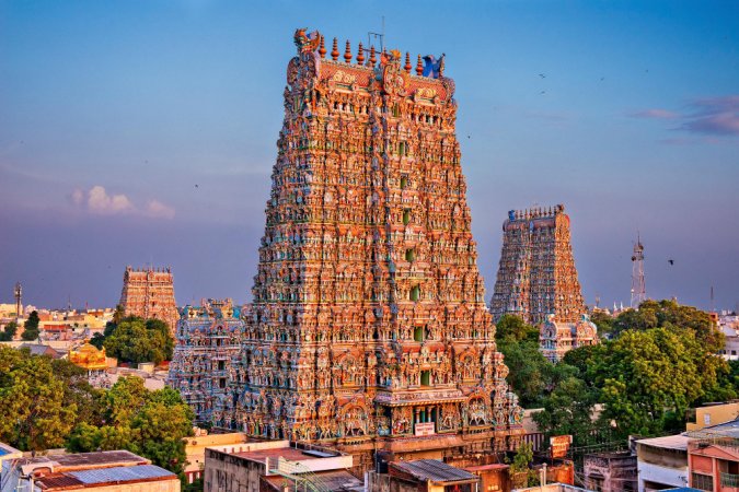 grasshopper yatra Image