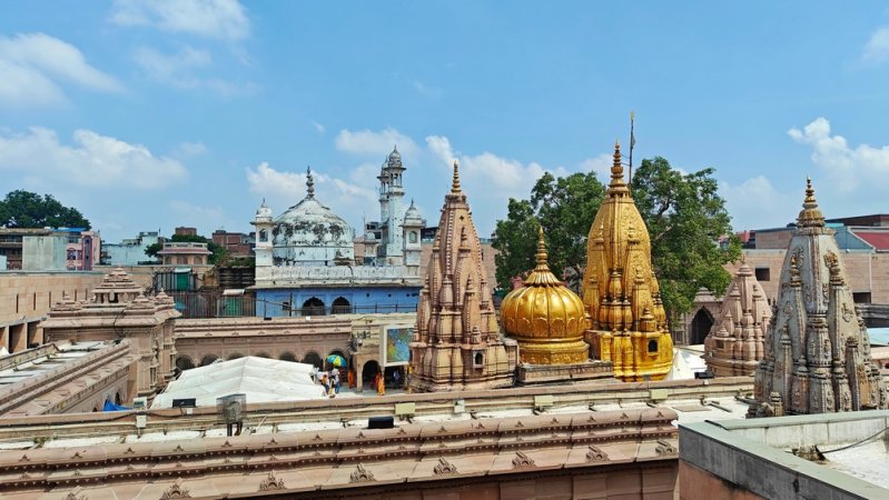 grasshopper yatra Image