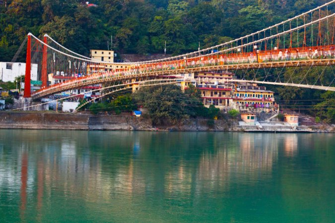 grasshopper yatra Image