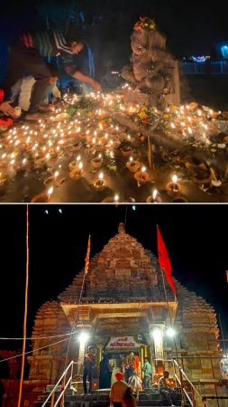 grasshopper yatra Image