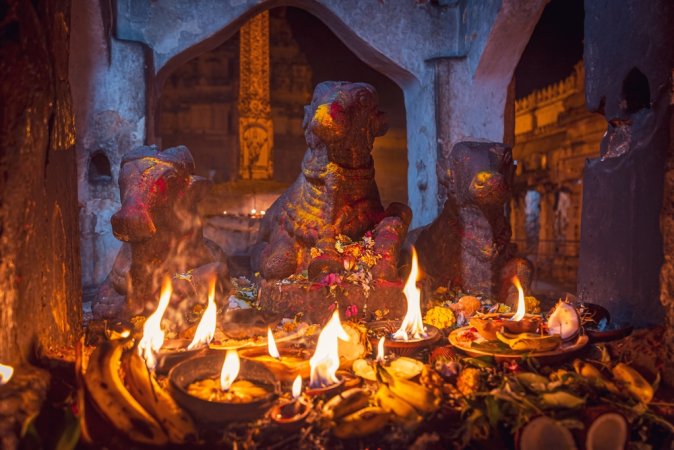 grasshopper yatra Image