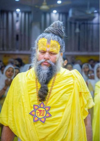 grasshopper yatra Image