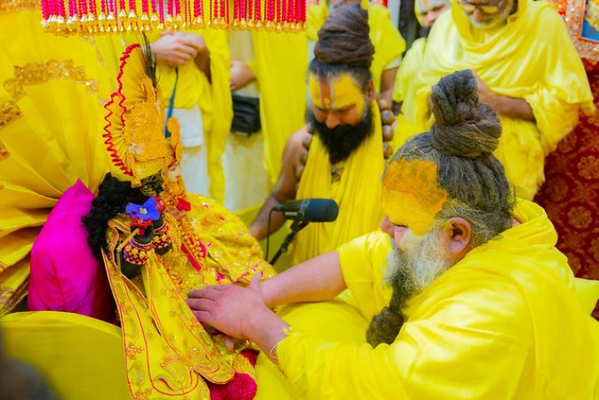 grasshopper yatra Image