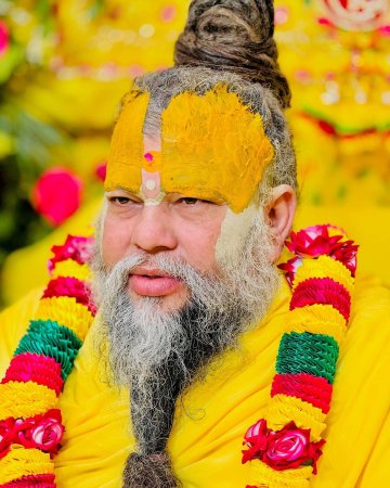 grasshopper yatra Image