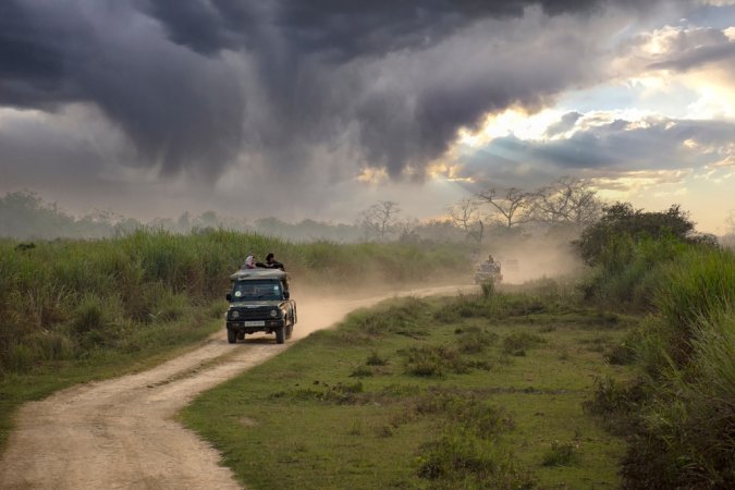 grasshopper yatra Image