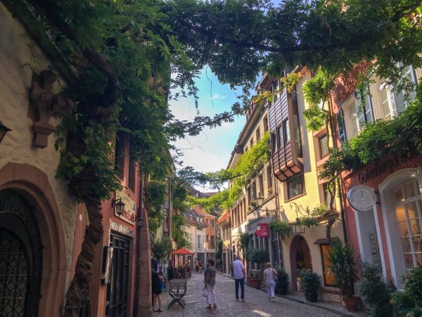 grasshopper yatra Image