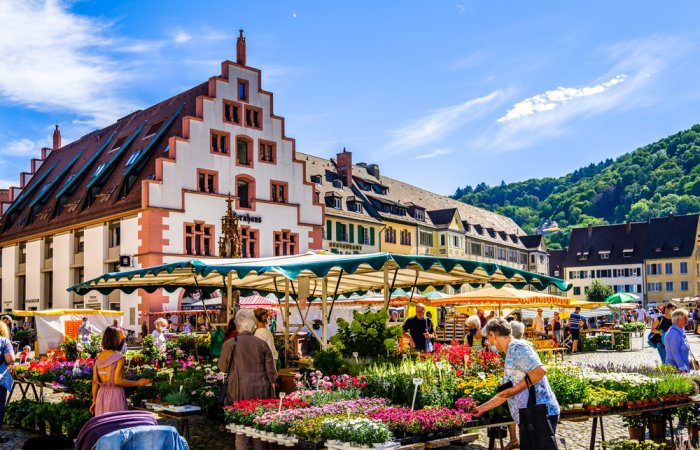 grasshopper yatra Image