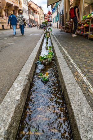 grasshopper yatra Image