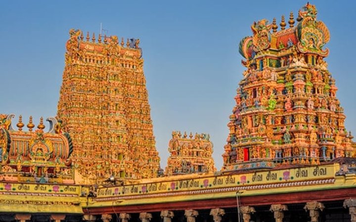 grasshopper yatra Image