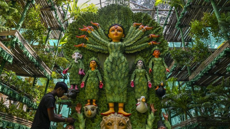 grasshopper yatra Image