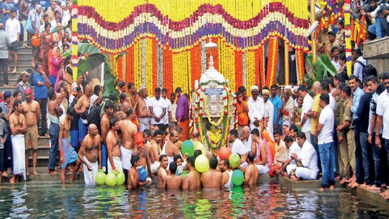 grasshopper yatra Image
