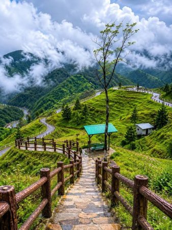 grasshopper yatra Image